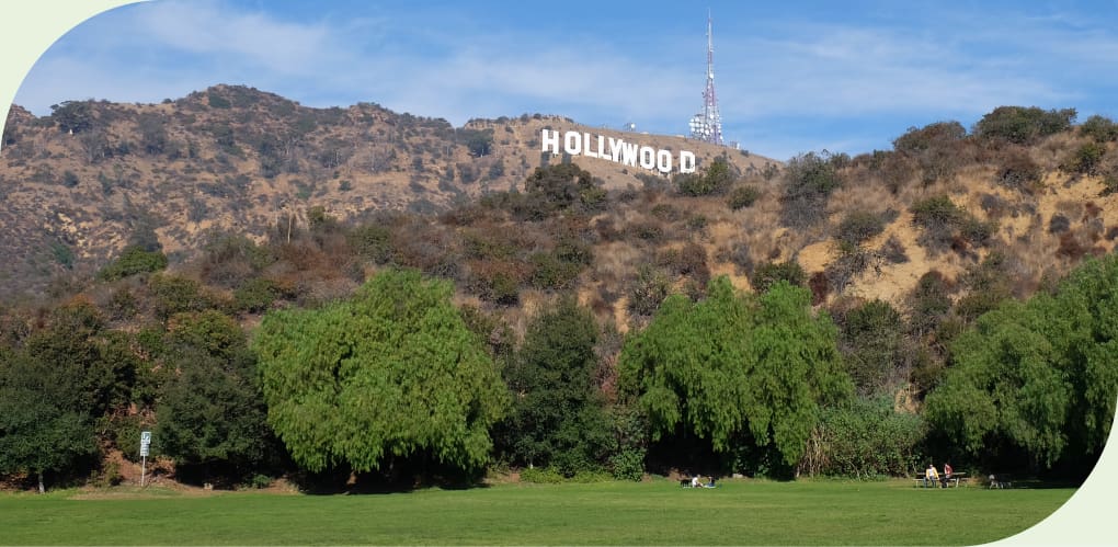 Home Hollywood